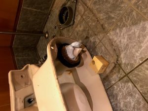 焼津市　トイレ詰まり修理