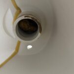 島田市向谷 洋式トイレ脱着作業